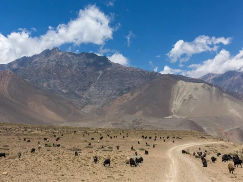 Lower Mustang Trek